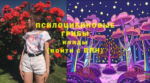 COCAINE Каменка