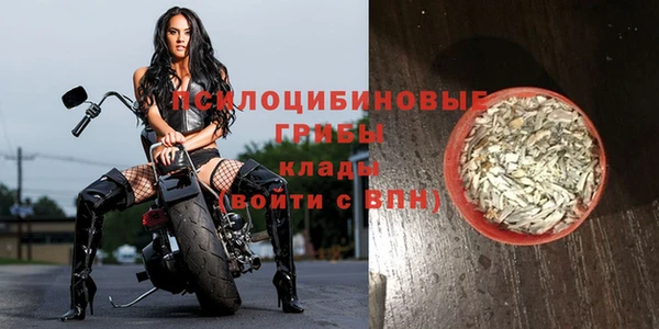 COCAINE Каменка